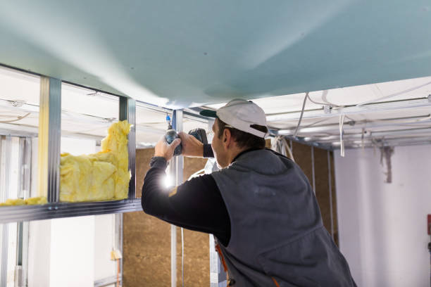 Insulation Inspection Services in Galena, IL