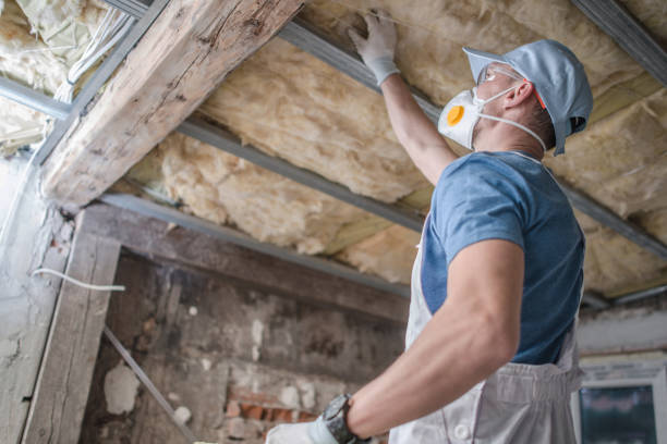 Best Local Insulation Services  in Galena, IL