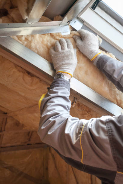 Best Soundproof Insulation Installation  in Galena, IL