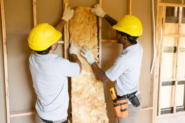 Best Insulation Contractor Near Me  in Galena, IL