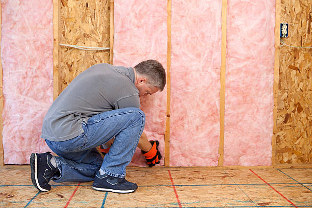 Best Home Insulation Services  in Galena, IL