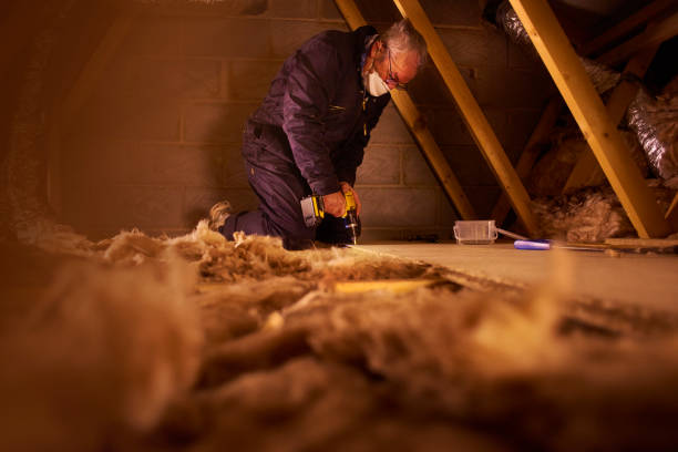 Best Spray Foam Insulation  in Galena, IL